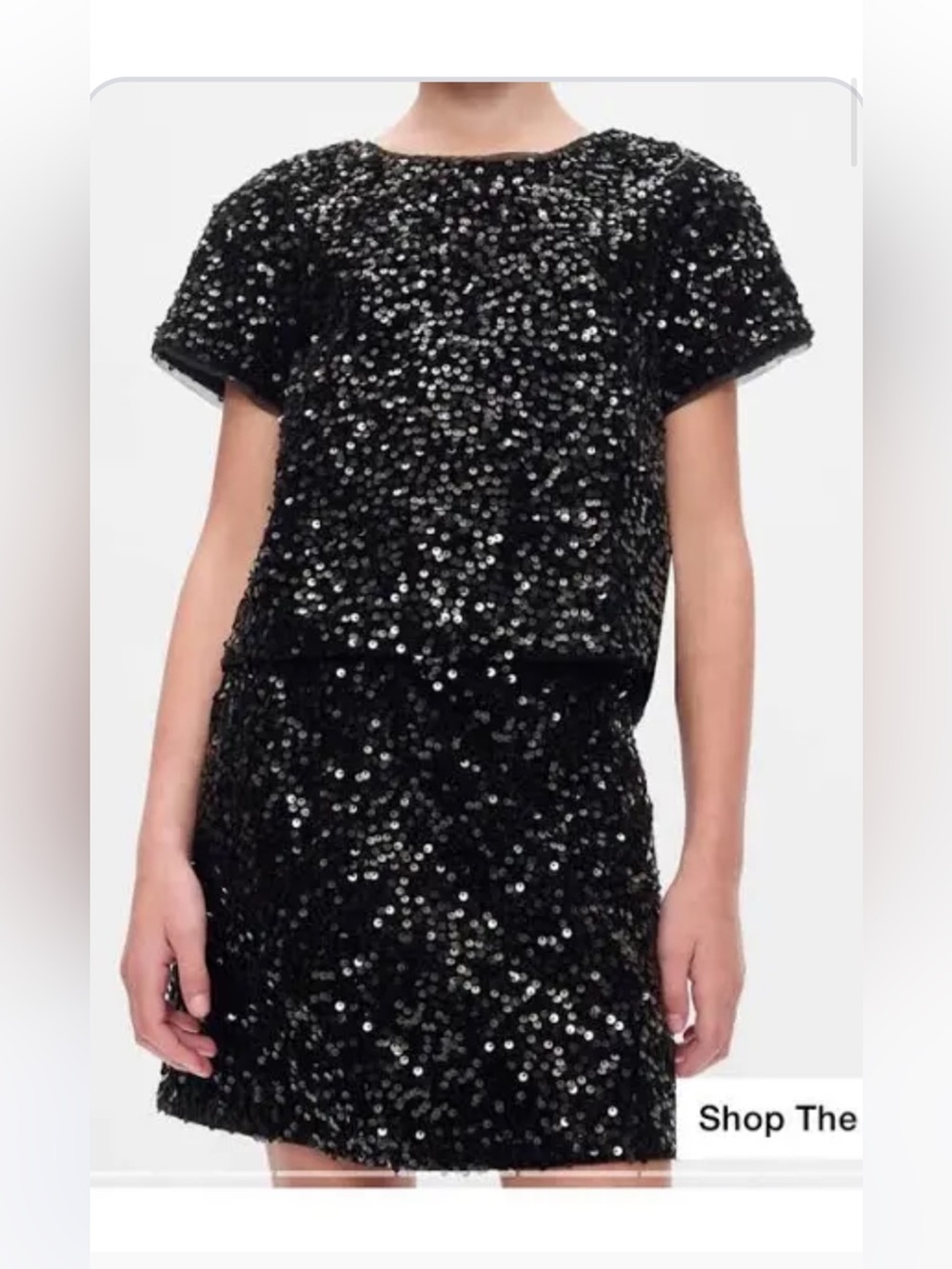 Gap Kids Sequin Velvet Mini Skirt and Top